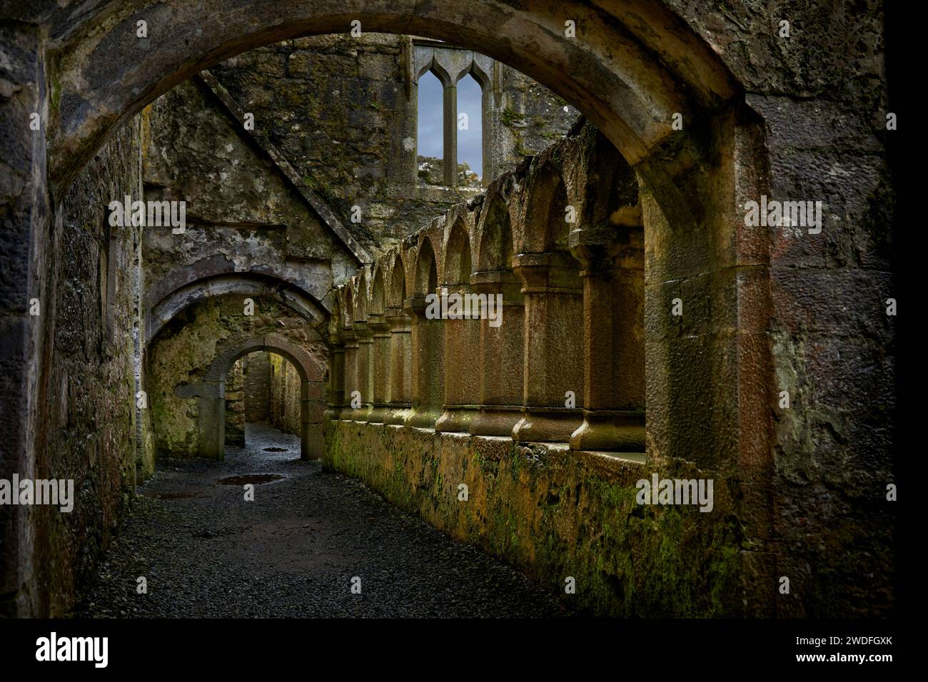 Das Kloster in Ross Errilly Friary, County Galway, Irland Stockfoto