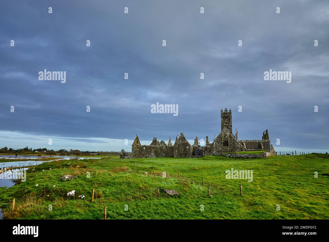 Ross Errilly Friary, County Galway, Irland Stockfoto