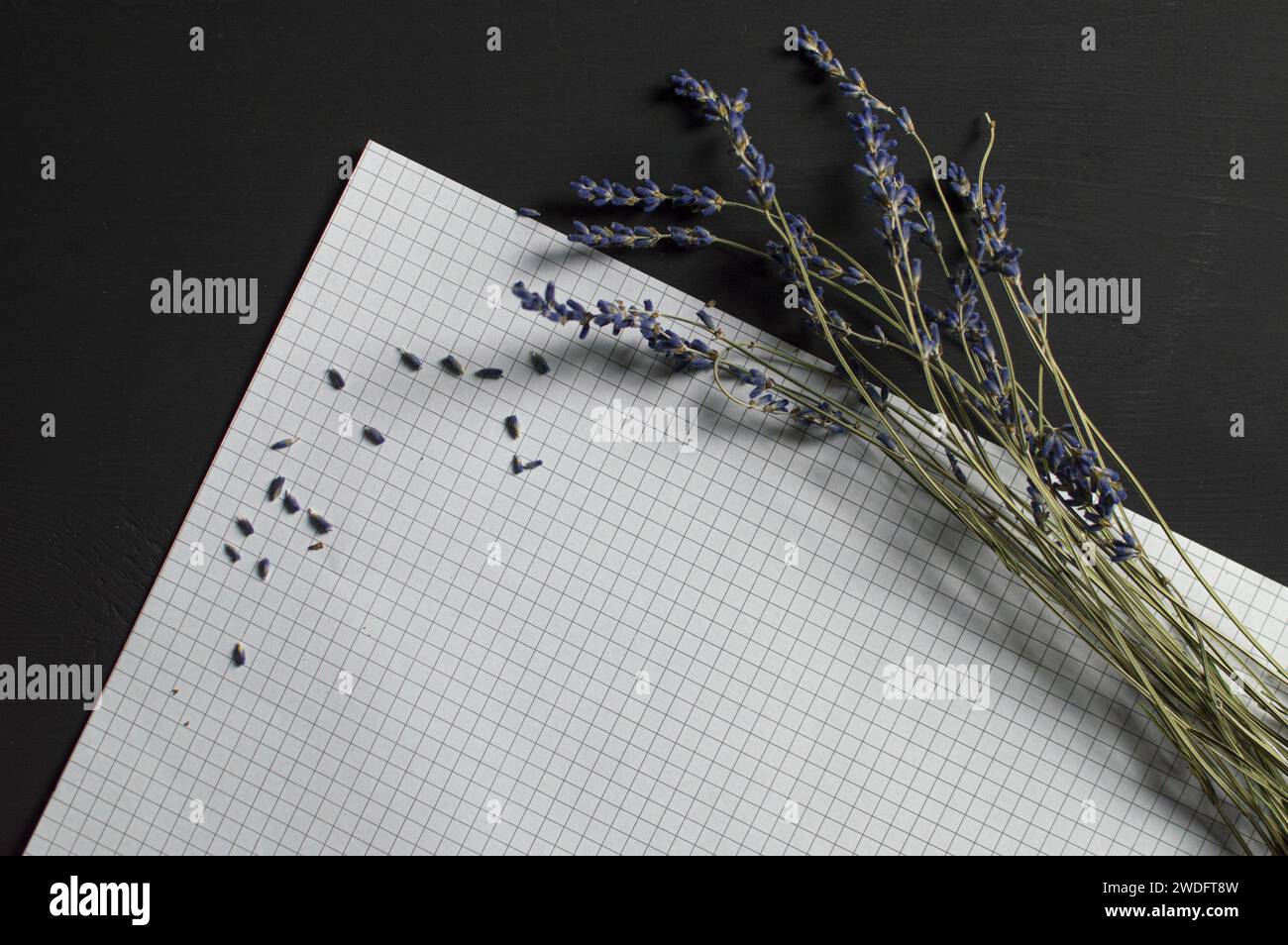 Ästhetische Lavendelkomposition Lebensmittelfotografie Stockfoto