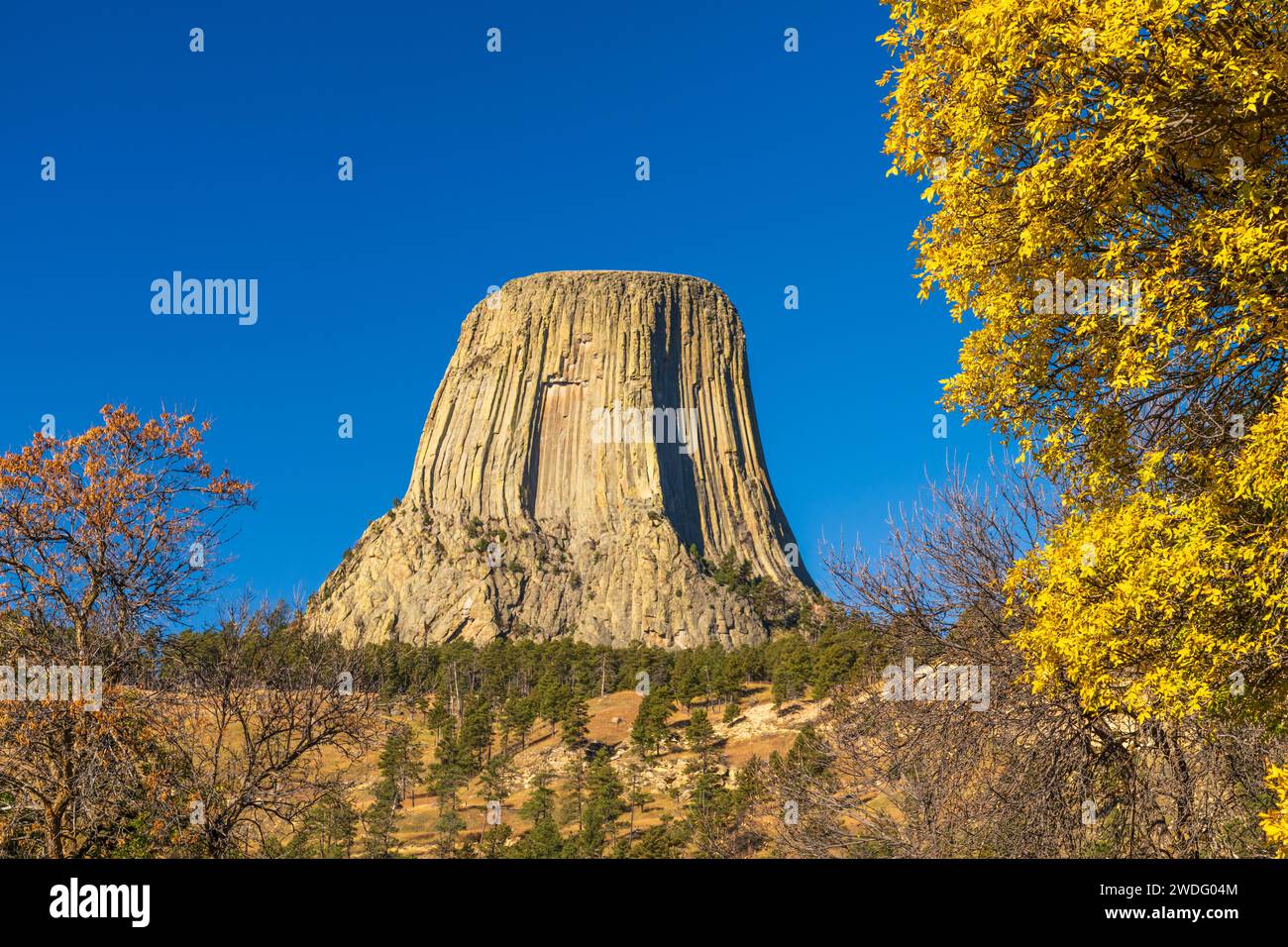 Devils Tower National Monument mit Herbstlaub in der Nähe von Sundance, Wyoming, USA. Stockfoto