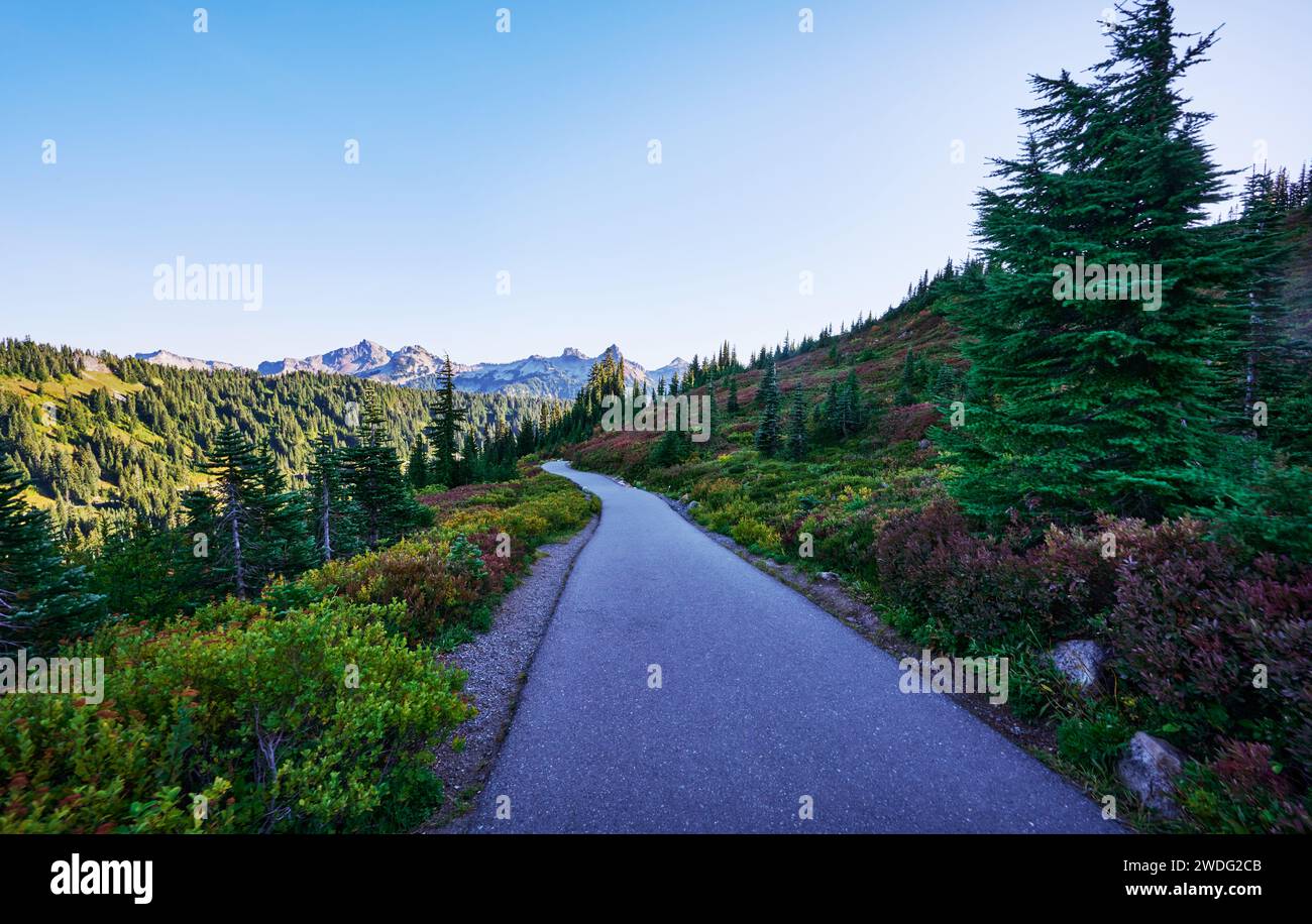 Mount Rainier National Park, Washington State, Usa Stockfoto