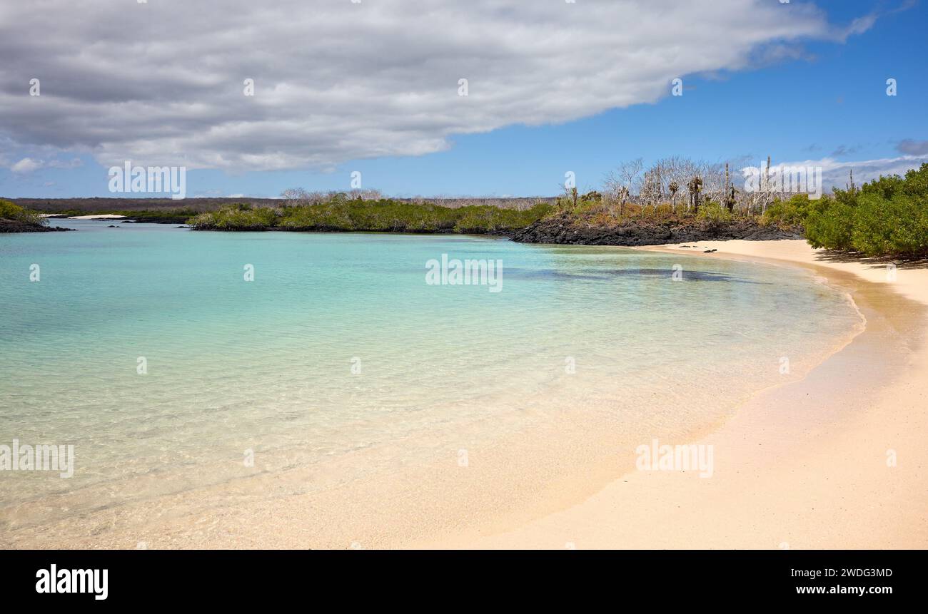Unberührter Strand auf einer unbewohnten Insel, den Galapagos-Inseln, Ecuador. Stockfoto