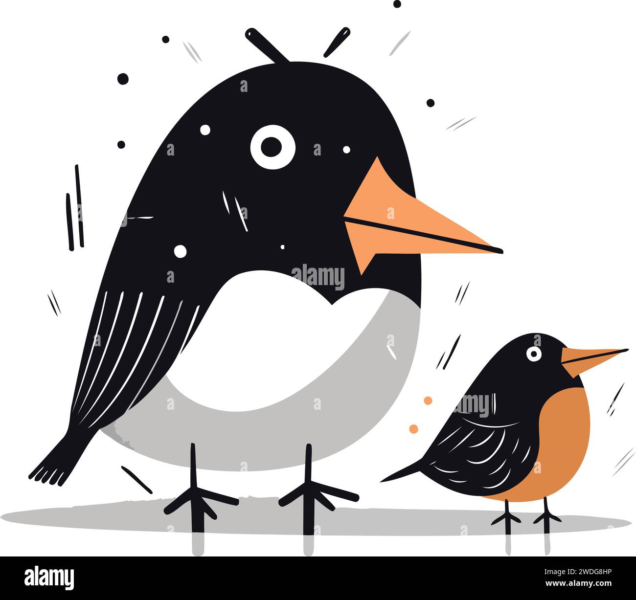 Süßer schwarz-weißer Vogel mit orangefarbenem Schnabel. Vektorabbildung. Stock Vektor