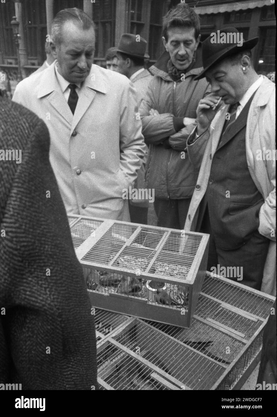 DEU, Deutschland, Dortmund: Persönlichkeiten aus Politik, Wirtschaft und Kultur aus den 1950er Jahren Belgien. Brüssel ca. 1965 Stockfoto