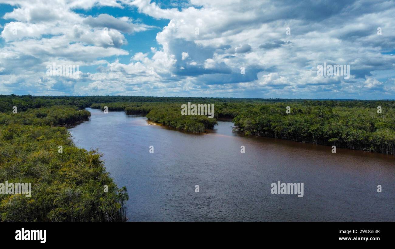 Der Rio fließt im dichten Amazonaswald in Brasilien Stockfoto