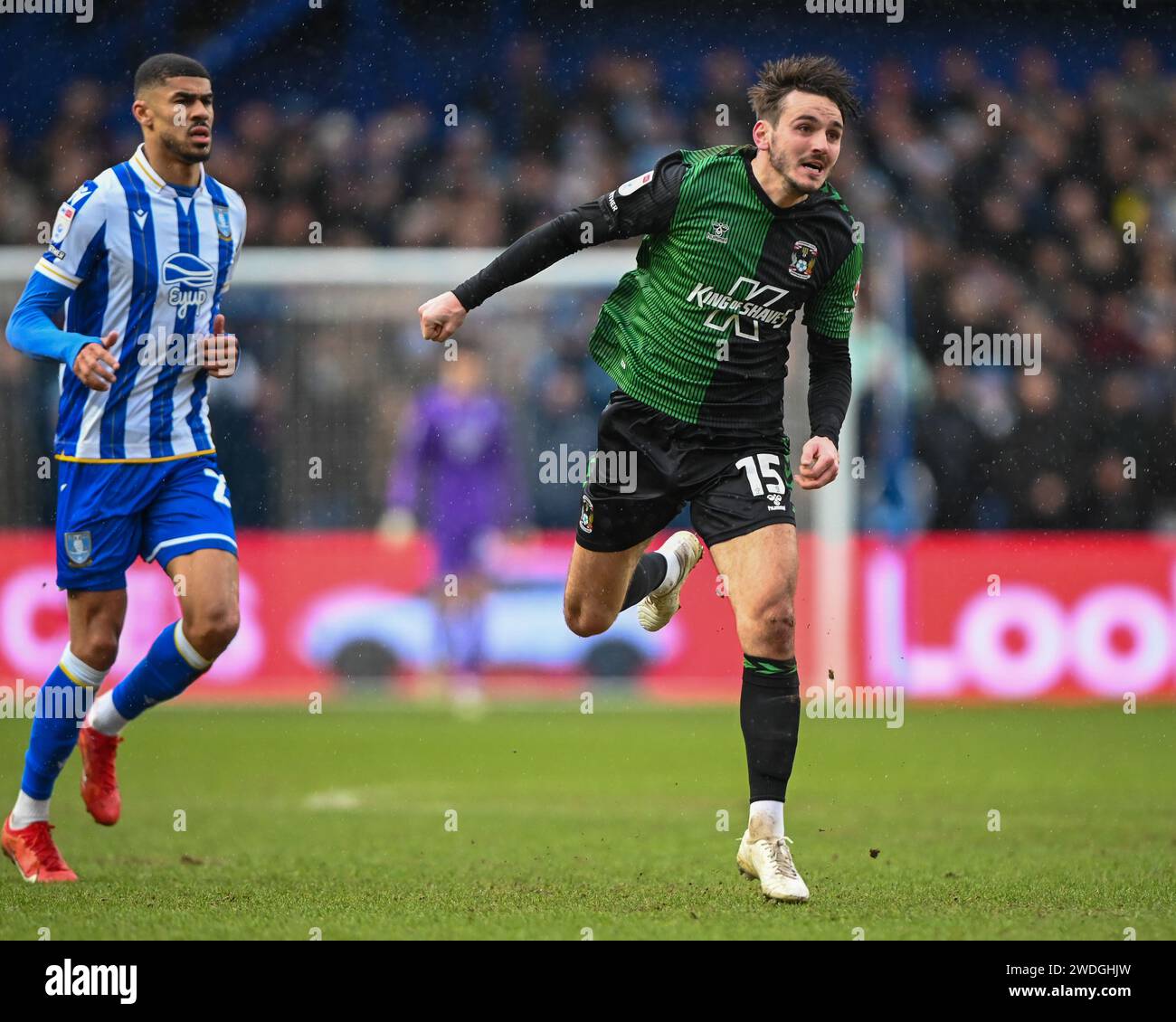 Während des Sky Bet Championship Matches Sheffield Wednesday gegen Coventry City in Hillsborough, Sheffield, Großbritannien, 20. Januar 2024 (Foto: Craig Cresswell/News Images) Stockfoto