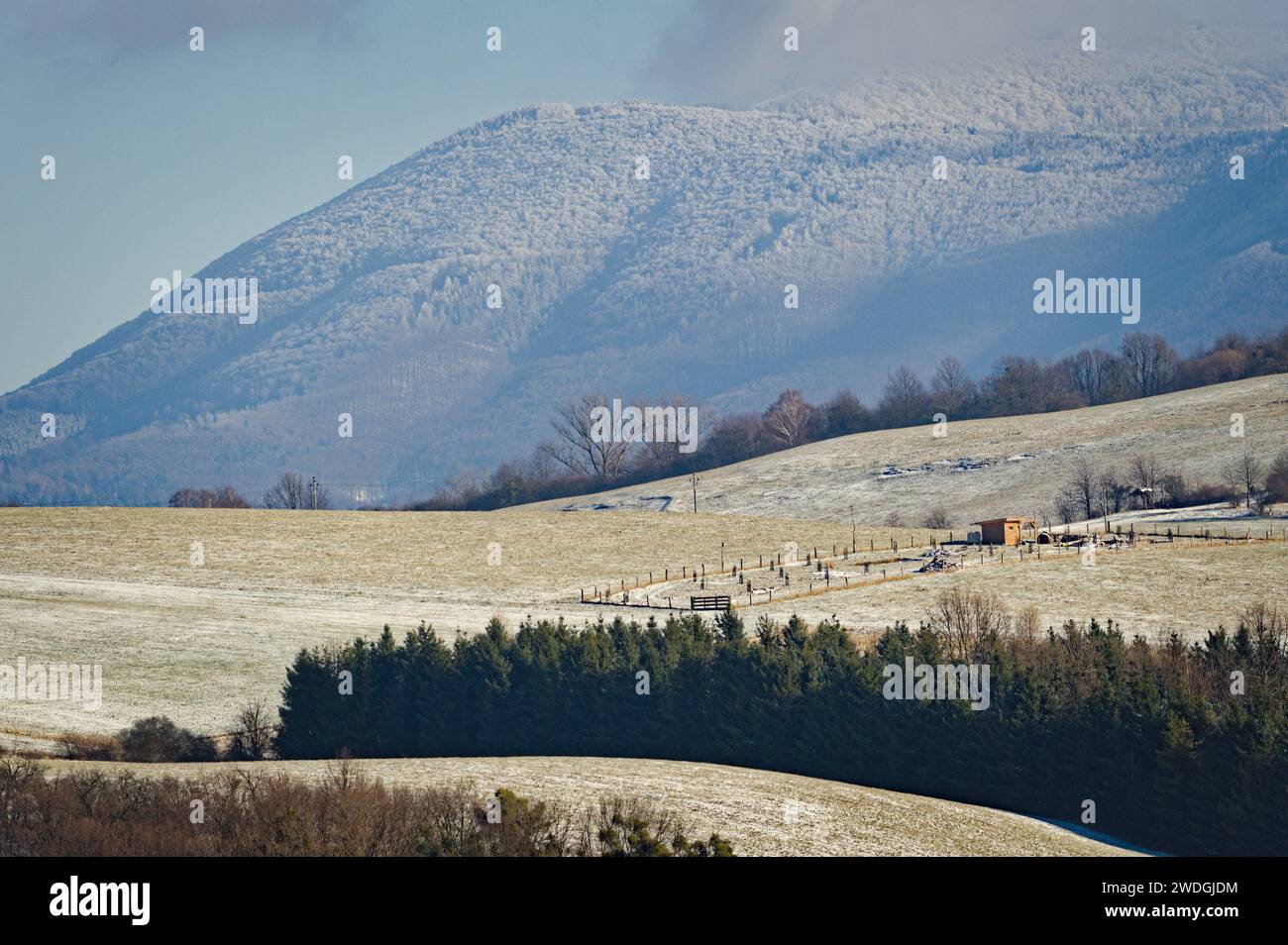 Radhost-Berg bei Roznov Pod Radhostem. Winterlandschaft mit schneebedeckten Hügeln. Eiskaltes Wetter. Tschechische republik Natur. Stockfoto