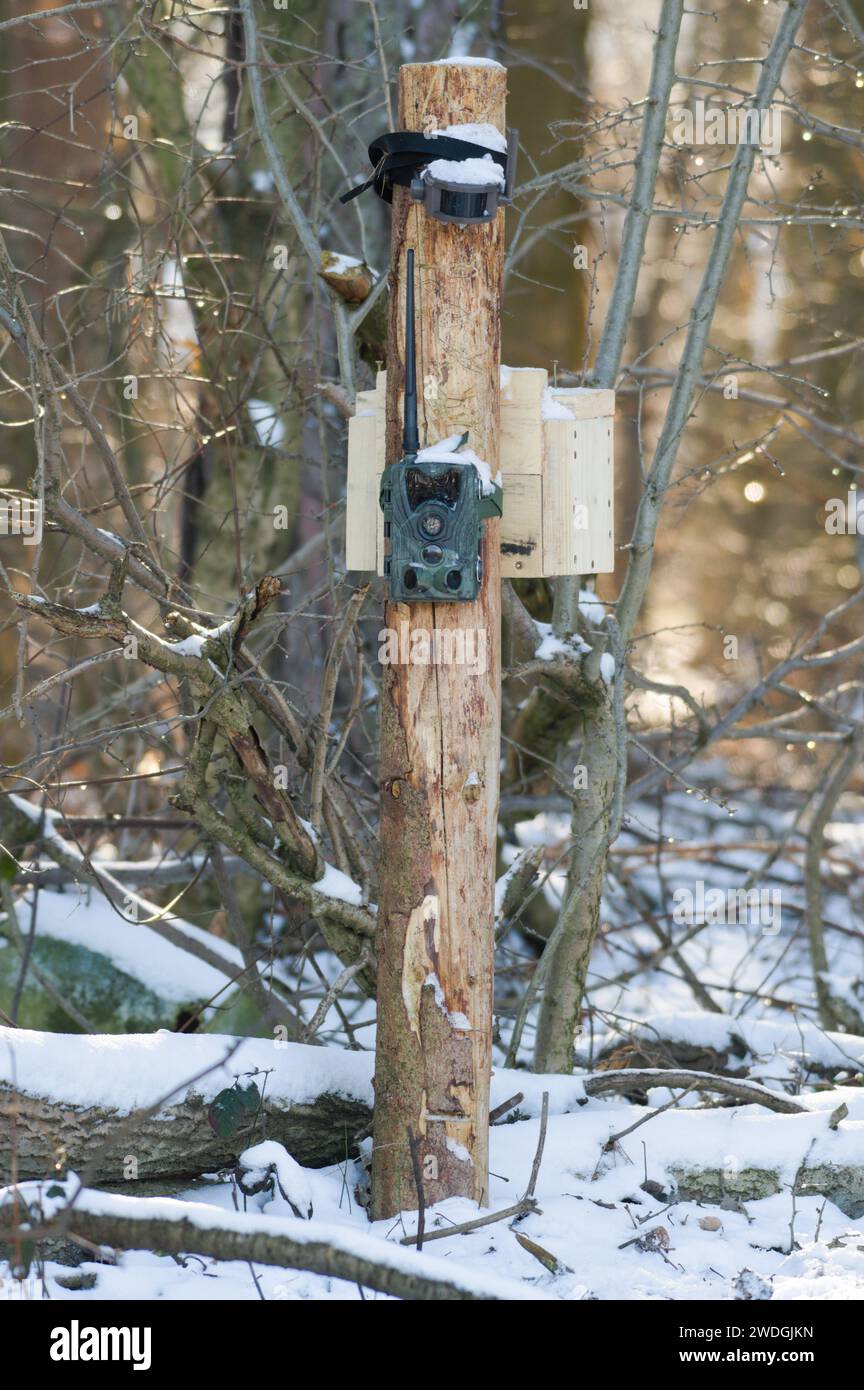 Kamerafalle nahe des hohen Sitzes für Jäger und Wildhüter im Wald. Tschechische republik Natur. Stockfoto