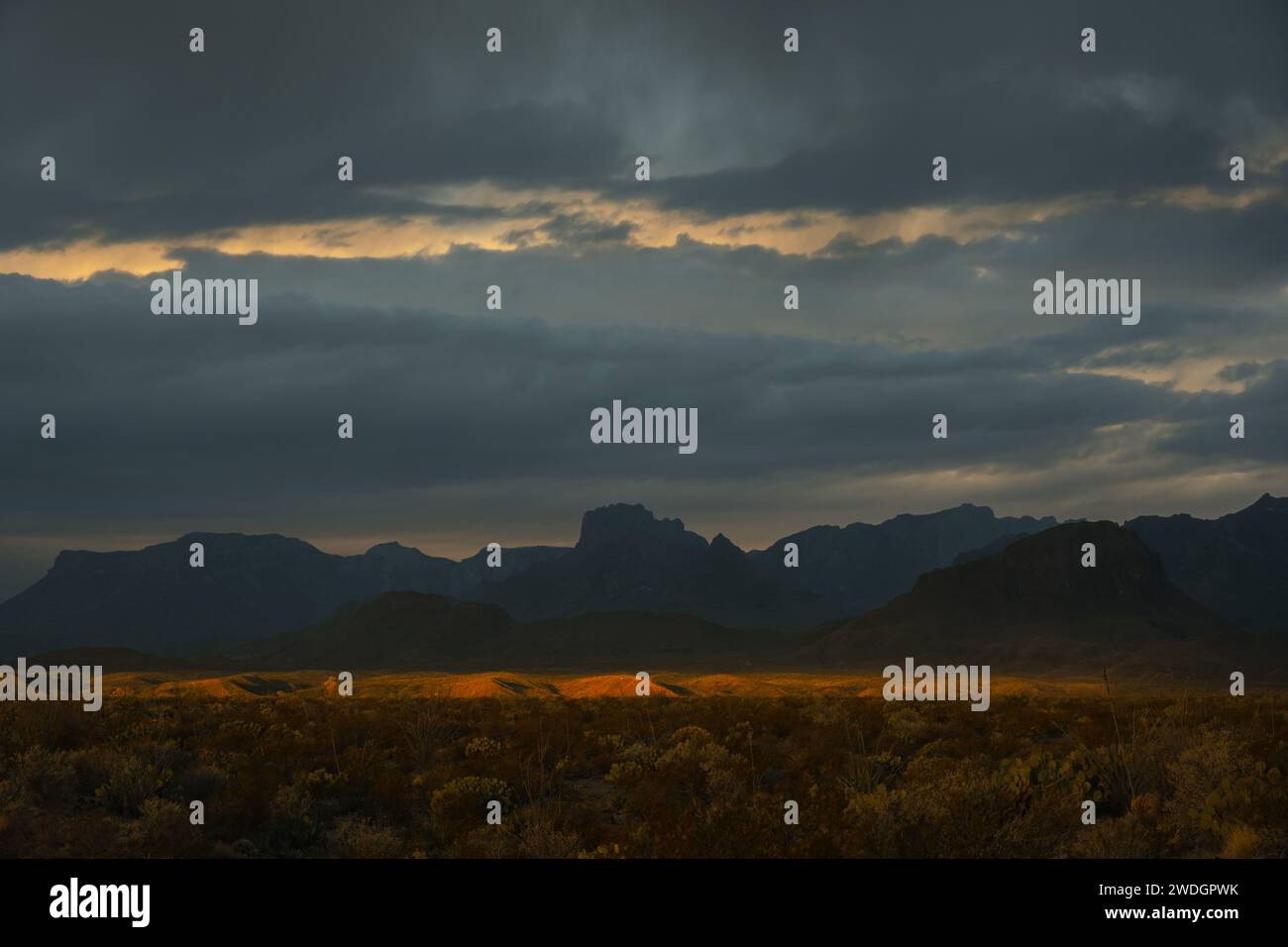 Band of Light beleuchtet Stretch of Desert unterhalb der Chisos Mountains in Big Bend Stockfoto