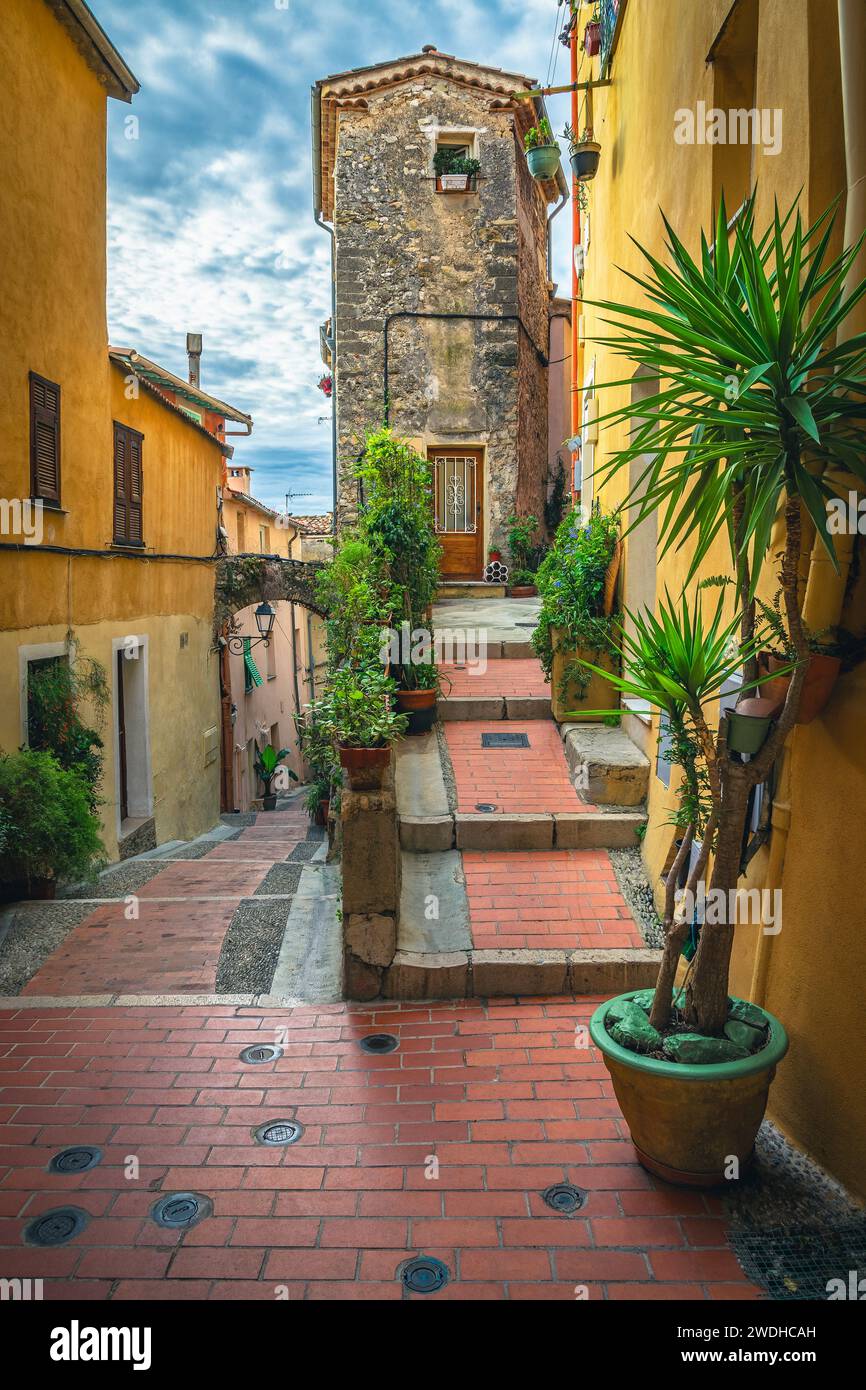 Herrlicher Blick auf die enge Straße mit geordneten alten bunten Häusern, die mit grünen Zierpflanzen dekoriert sind, Menton, Provence Alpes Cote d Azur, Frankreich, Europa Stockfoto