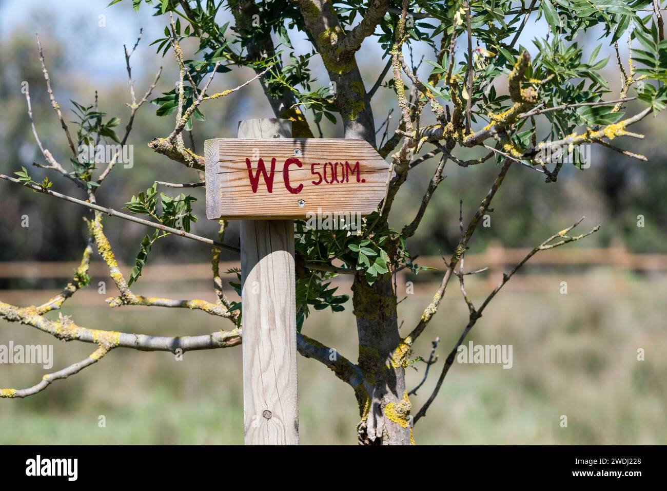 Hölzerner Toilettenpfeil, 500 Meter unter einem Baum, im Aiguamolls Emporda Park, Katalonien, Spanien Stockfoto
