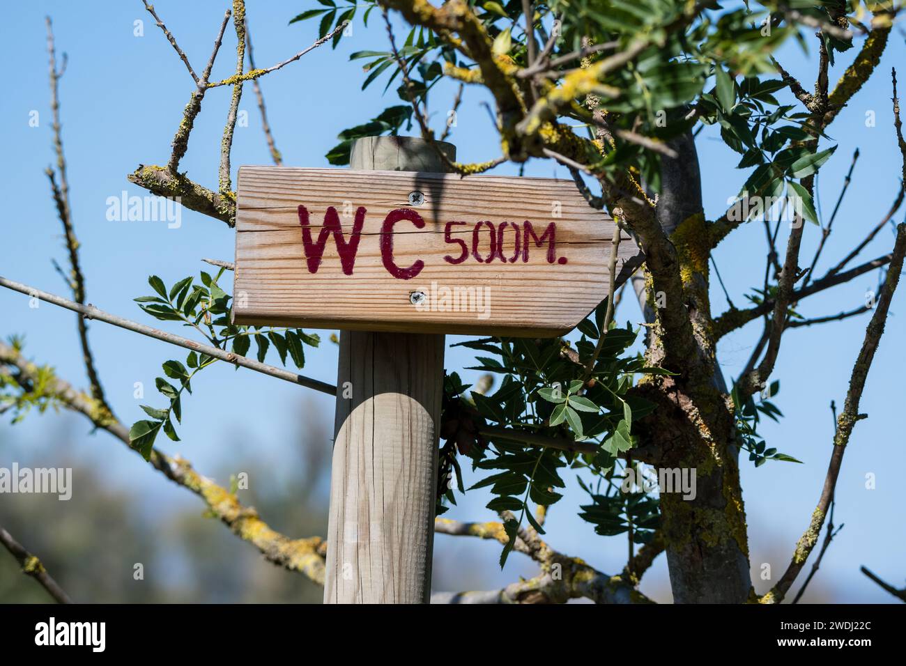 Hölzerner Toilettenpfeil, 500 Meter unter einem Baum, im Aiguamolls Emporda Park, Katalonien, Spanien Stockfoto
