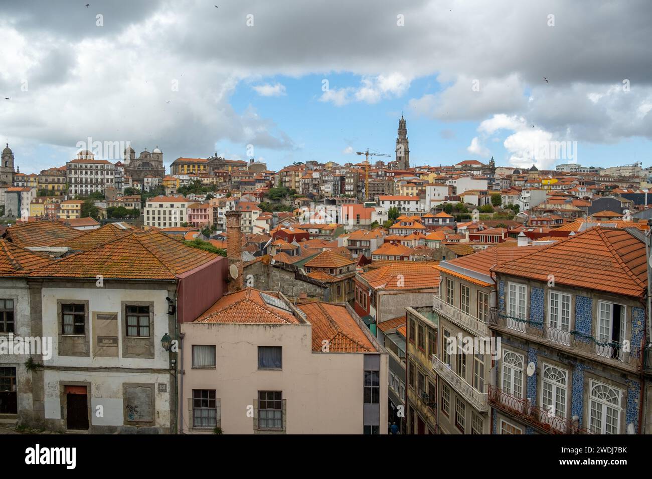 Porto, Portugal - 17. September 2023. Blick auf die Altstadt und den Turm von Clerigos. Bewölkter Tag. Stockfoto