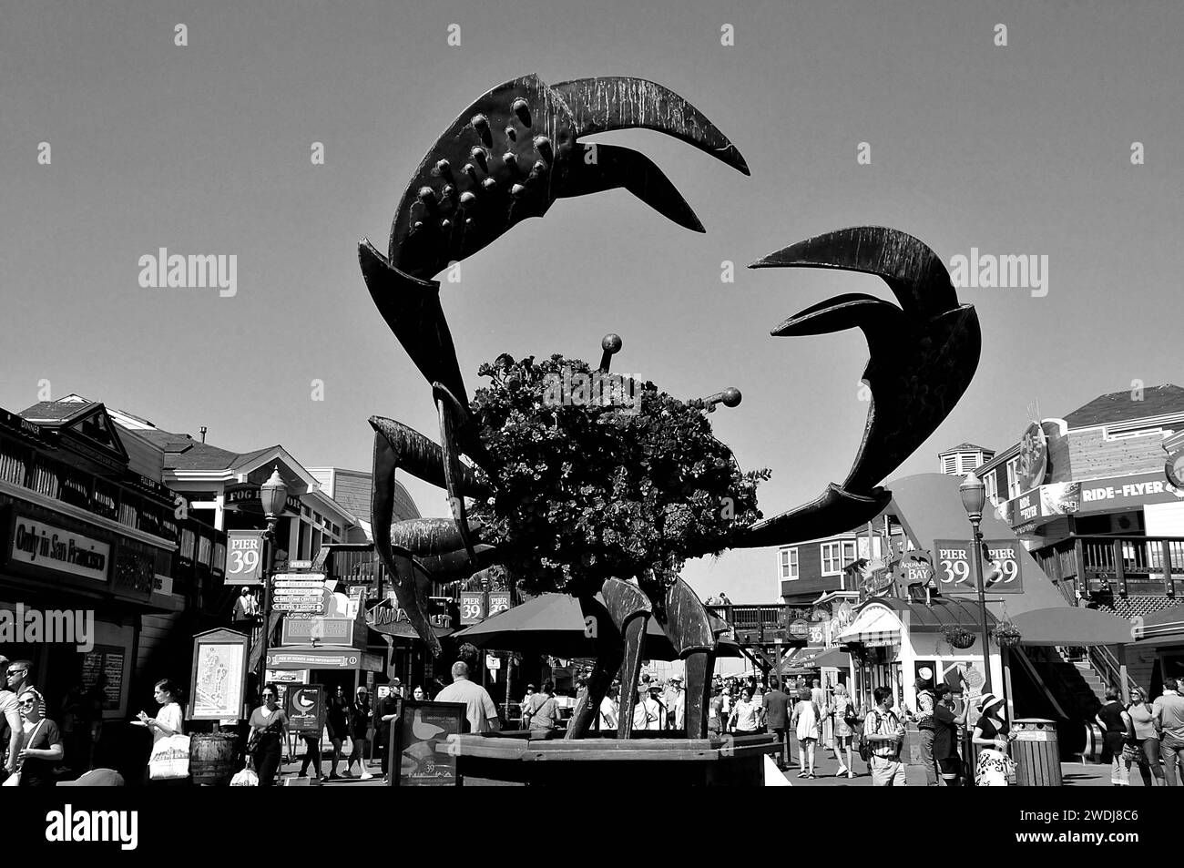 San Francisco /kalifornien/ 13. September 2019/ Lobster Statue am Pier 39 Infron Food Court am Pier 39 und 40 in san Francisco Habour. Foto: Francis Dean / Deanpictures. Stockfoto
