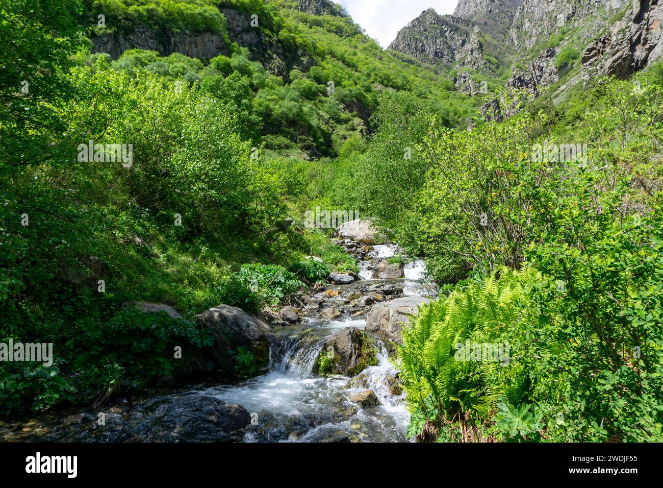 Der Bach fließt an den Hängen eines Gebirgszuges in Georgien, Osteuropa Stockfoto