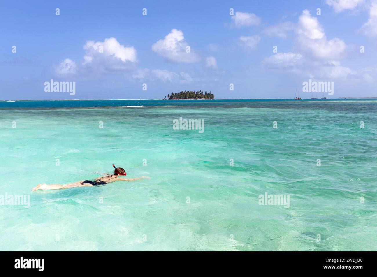 Frau, die im Badeanzug in einem türkisfarbenen Schiefwasser mit einer tropischen Insel auf der Rückseite, San blas, Karibik, Panama schnorchelt Stockfoto