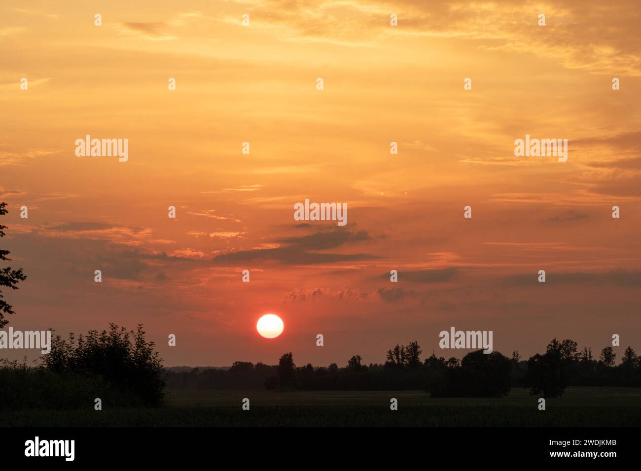 Sonnenuntergang mit orangefarbenem Himmel durch die Wolken und einer Reihe von Bäumen am Horizont Stockfoto