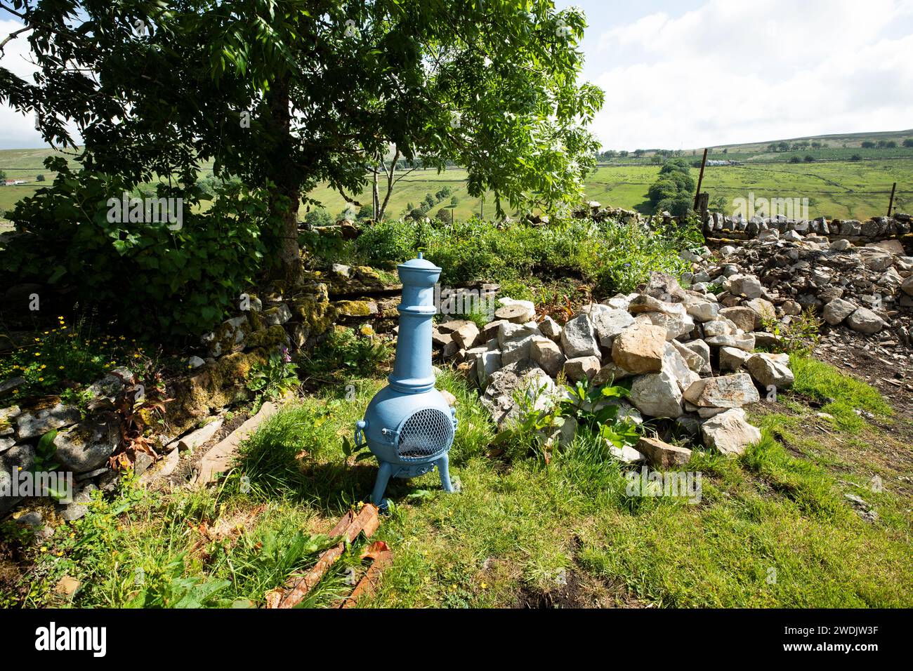 Topfbauchofen blau unter Esche in bewachsenem, unordentlichem Garten mit großen Steinhaufen in Middle Lee, Garrigill, Cumbria Stockfoto