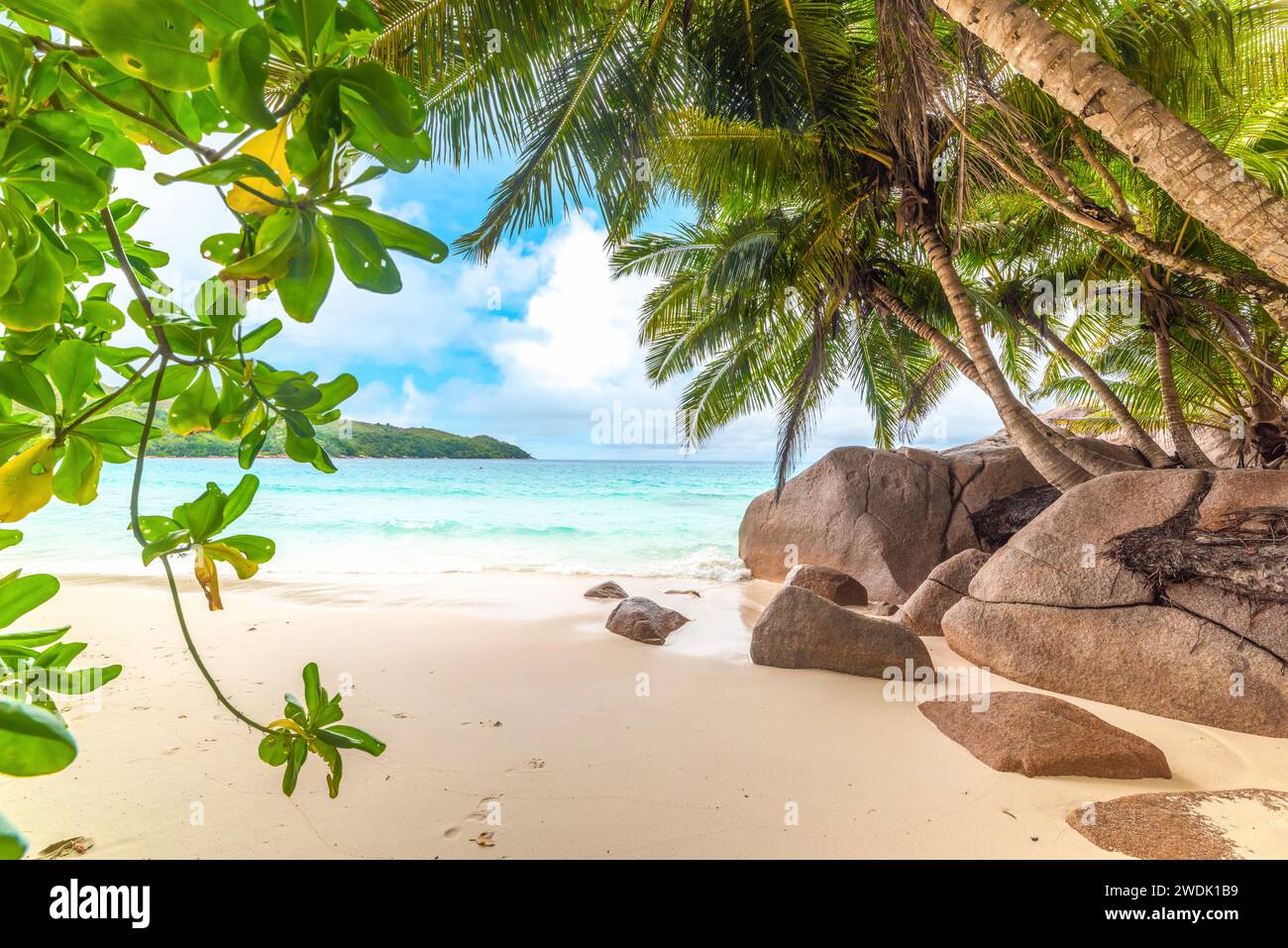 Granitfelsen und Kokospalmen am Strand von Anse Lazio. Praslin Island, Seychellen Stockfoto