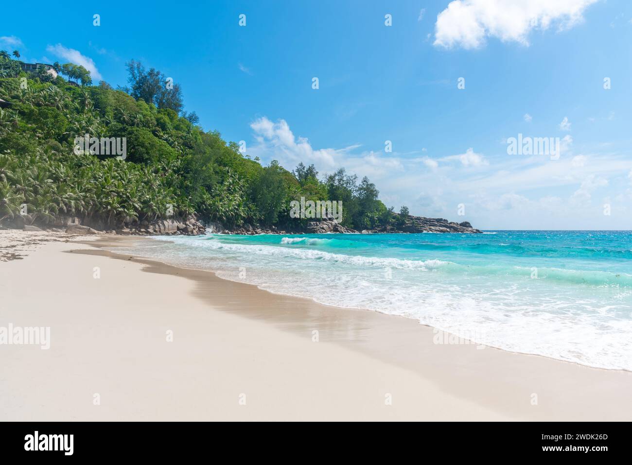 Palmen und türkisfarbenes Wasser am Strand von Anse Intendance. Mahe Island, Seychellen Stockfoto