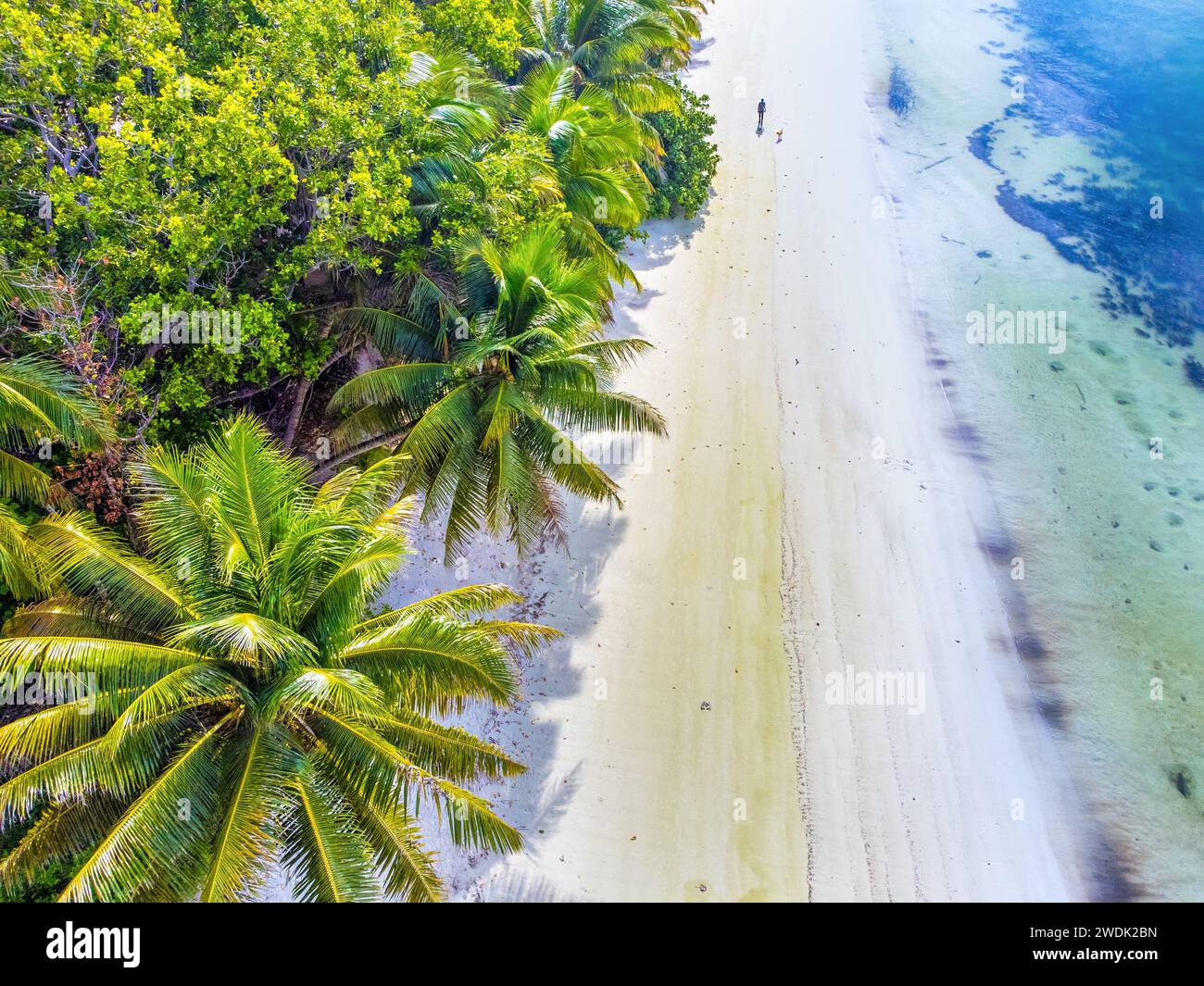 Mann und Hund an einem leeren Strand. Praslin Island, Seychellen Stockfoto