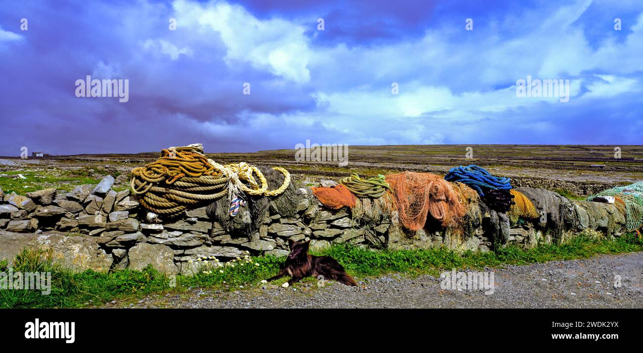 Angelausrüstung und ein Schafhund, auf einer trockenen Steinmauer auf Inishmore, Aran Islands, County Galway, Irland Stockfoto