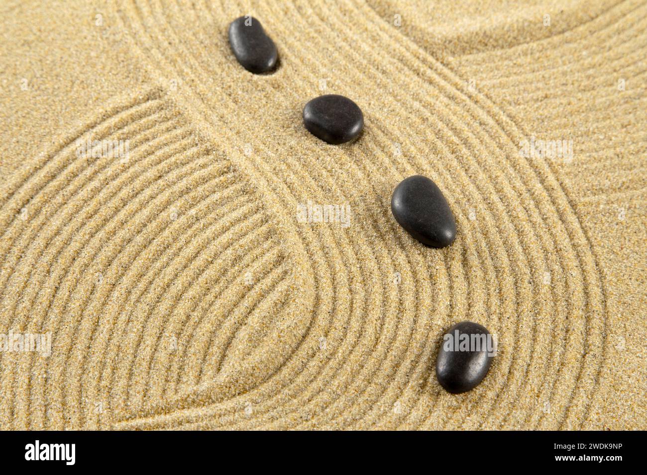 Zen Garten mit Sand, schwarze Steine, Bambus Zweig und schne Purple orchid  Stockfotografie - Alamy