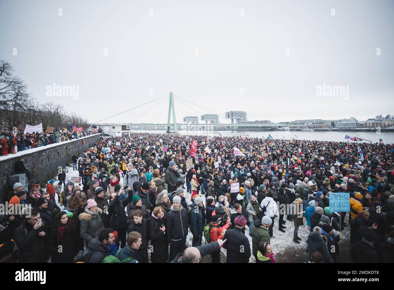 Bauernproteste, Köln, AFD, Demonstration, Demo, Ptoteste Teilnehmer bei ...