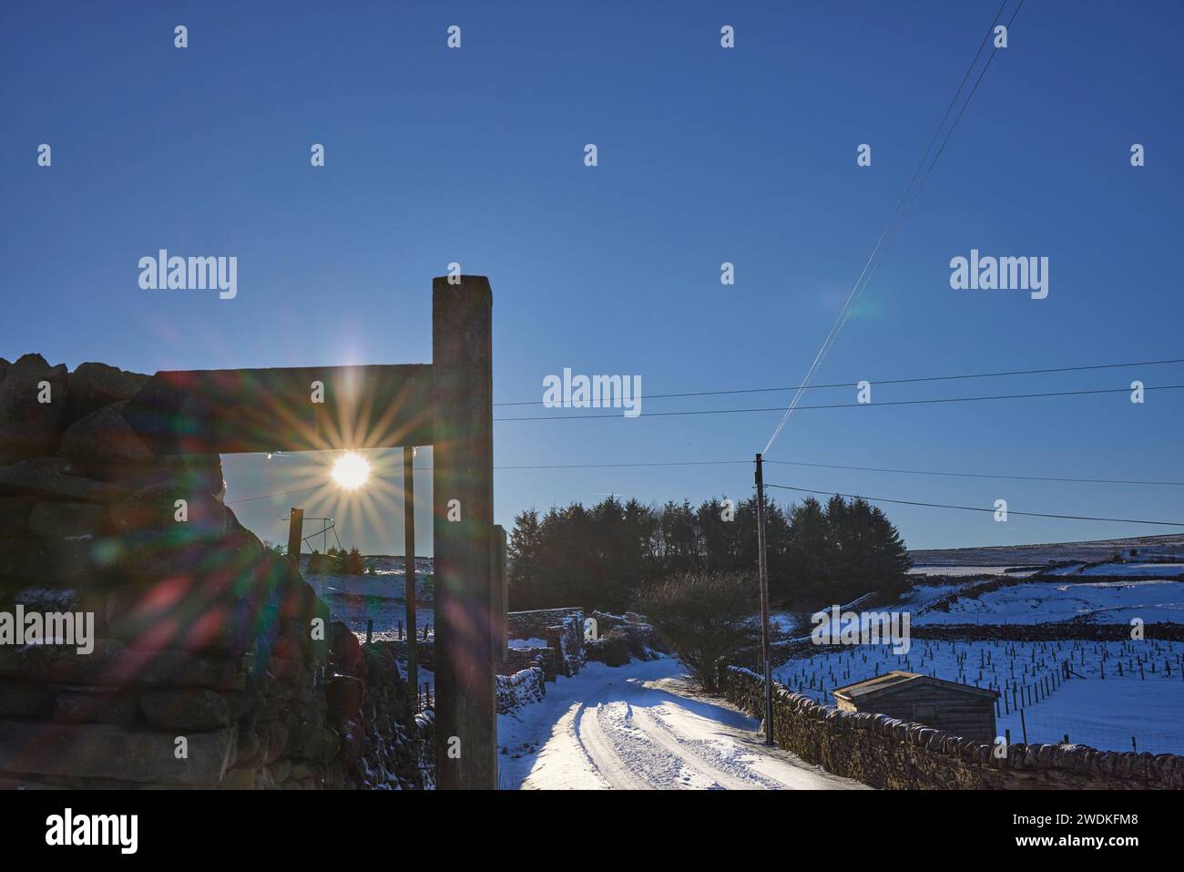 Januar und Nachmittag nach einem plötzlichen Schneefall beginnt sich die Wintersonne über dem Horizont zu setzen. Nidderdale. North Yorkshire. Stockfoto