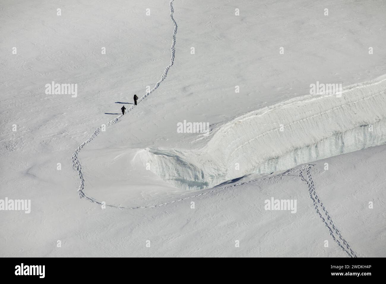 Bergsteiger folgen einem Weg vorbei an einer Spalte am Aletschgletscher, Jungfraujoch, Grindelwald Schweiz Stockfoto