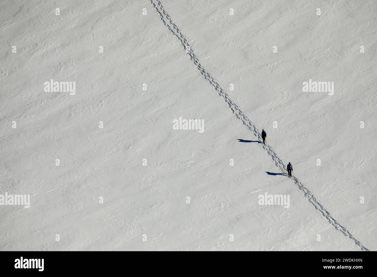 Bergsteiger folgen einem Weg vorbei an einer Spalte am Aletschgletscher, Jungfraujoch, Grindelwald Schweiz Stockfoto