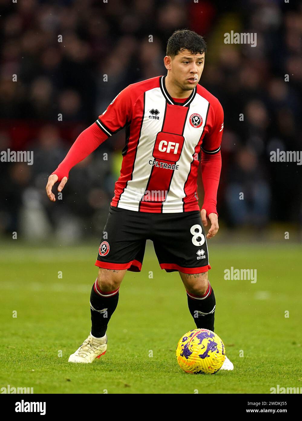 Gustavo Hamer von Sheffield United im Spiel der Premier League in der