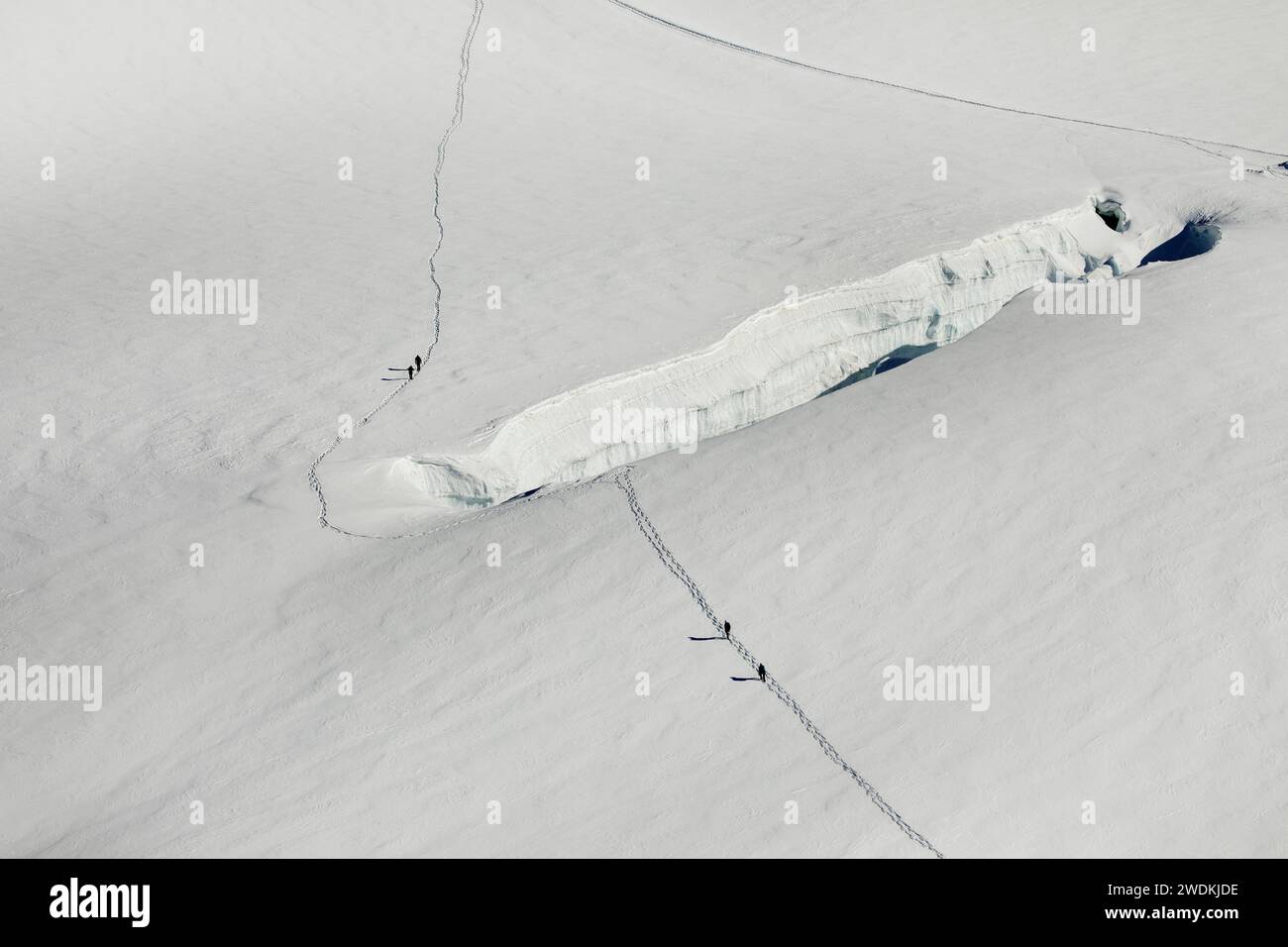 Bergsteiger folgen einem Weg vorbei an einer Spalte am Aletschgletscher, Jungfraujoch, Grindelwald Schweiz Stockfoto