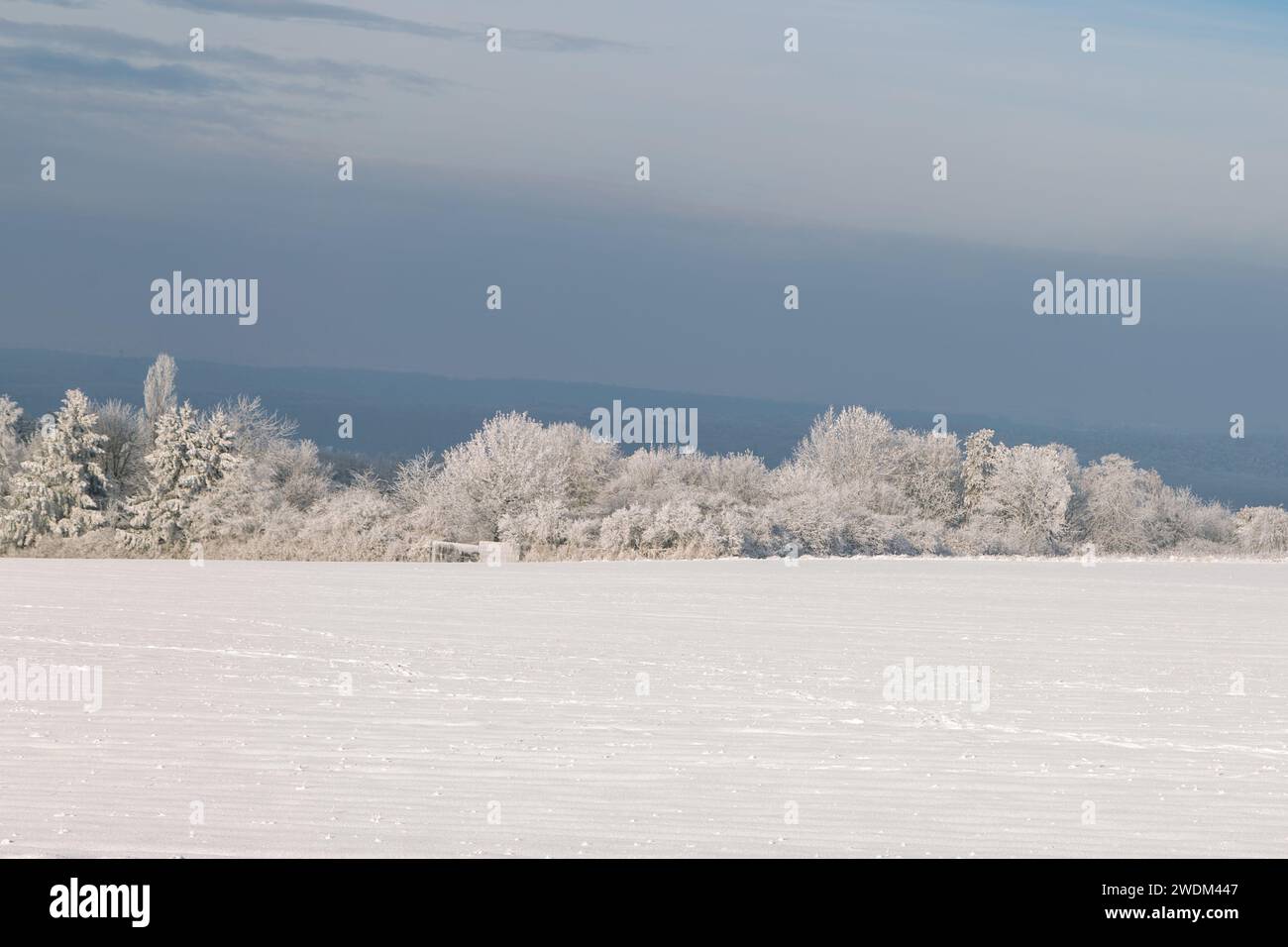 Landschaft nahe Grüningen in Hessen, an einem Wintertag im Januar 204 Stockfoto