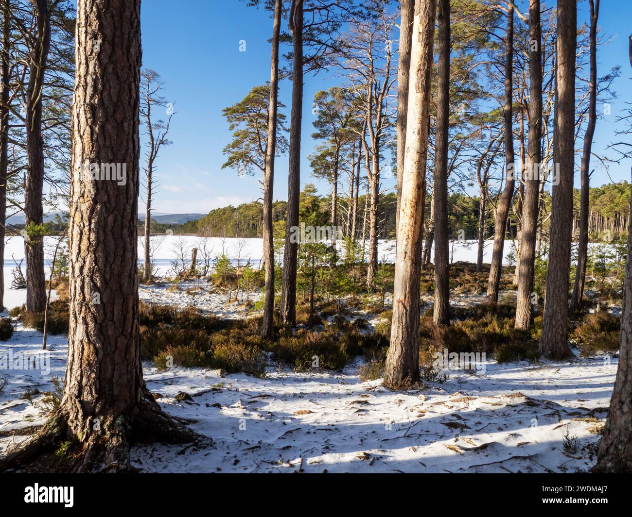 Schnee liegt auf Eis auf einem gefrorenen Loch Mallachie in den Cairngorms, Schottland, Großbritannien Stockfoto