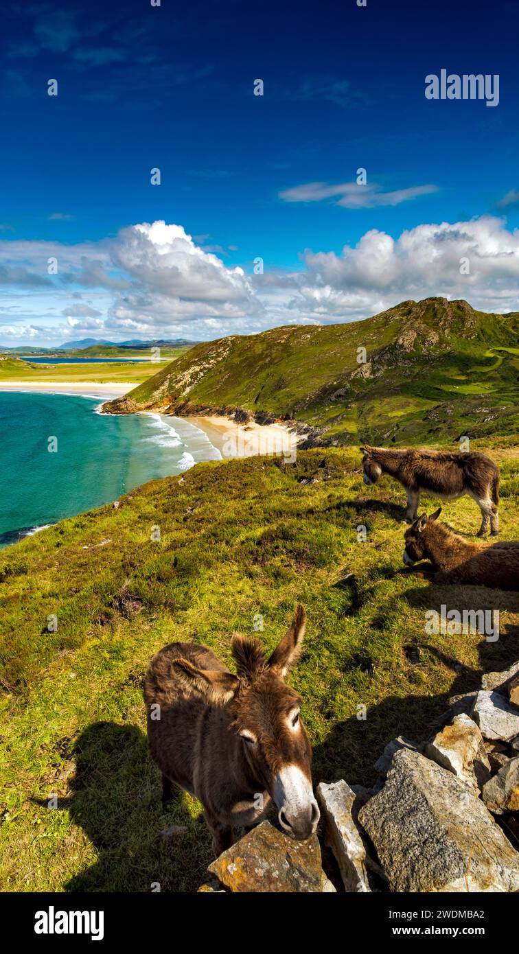 Tranarossan Beach in Melmore Head, Downings, County Donegal, Irland Stockfoto