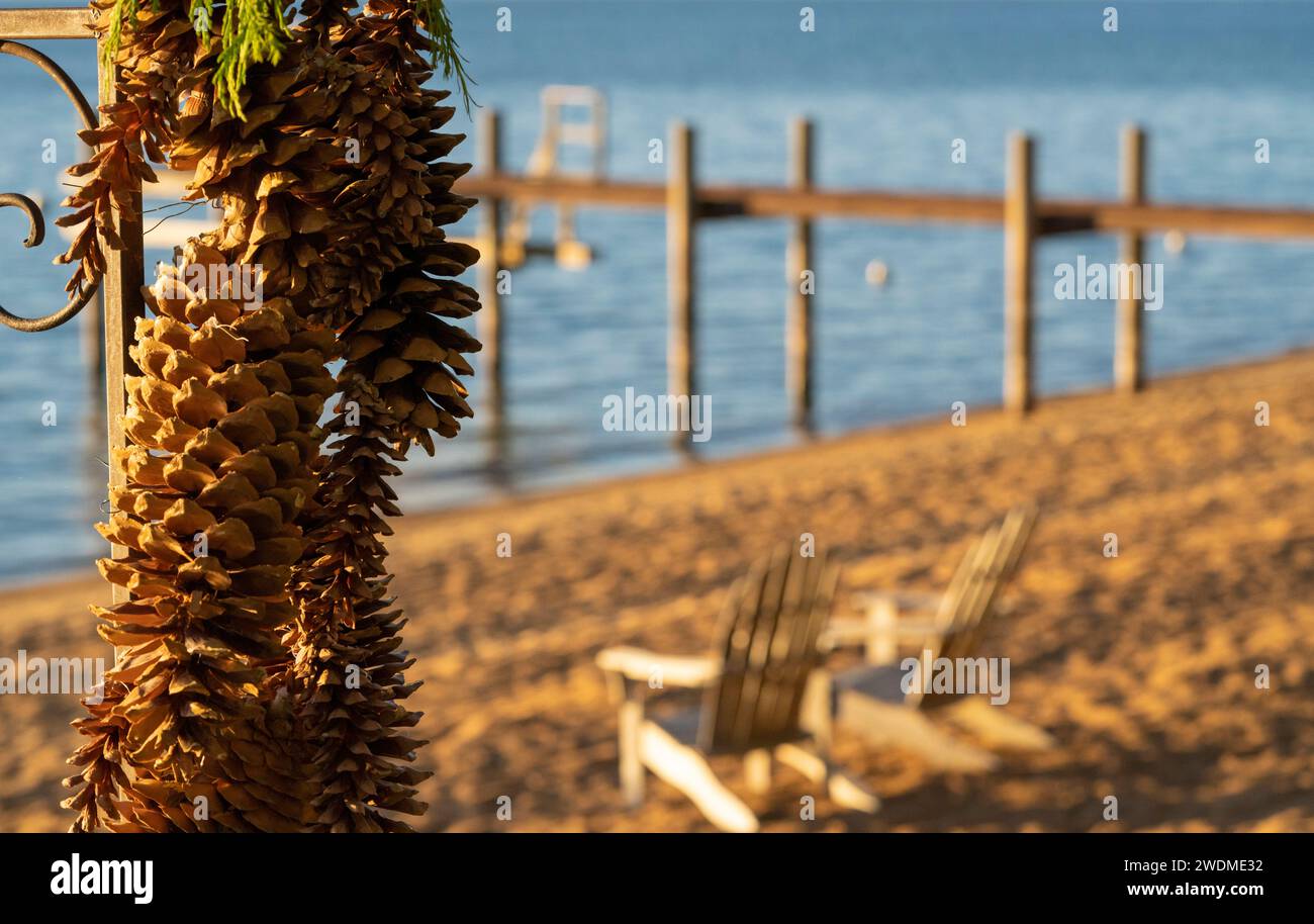 Große Sugar Pine Kegel im Fokus, mit Blick auf den See, Stühlen am Strand und Pier aus dem Fokus. Hochzeitsdekoration. Lake Tahoe Basin. Stockfoto