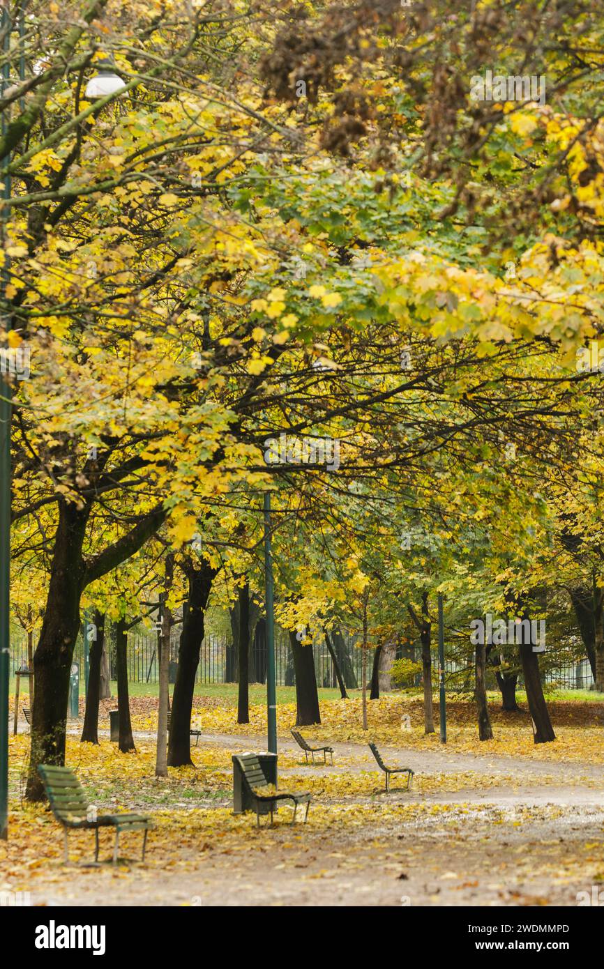 Leere Bänke in einer ruhigen Ecke der Parco Sempione Gärten und Park, im Herbst Mailand, Mailand, Italien Stockfoto