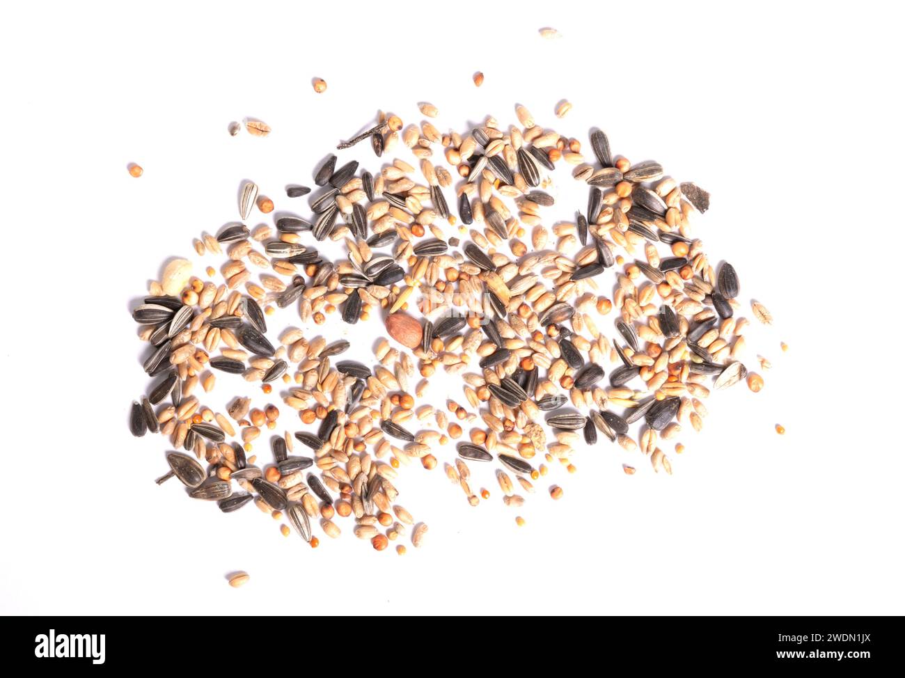 Tisch Samenkorn Vogelfutter Mischung ausgeschnitten auf weißem Hintergrund Stockfoto