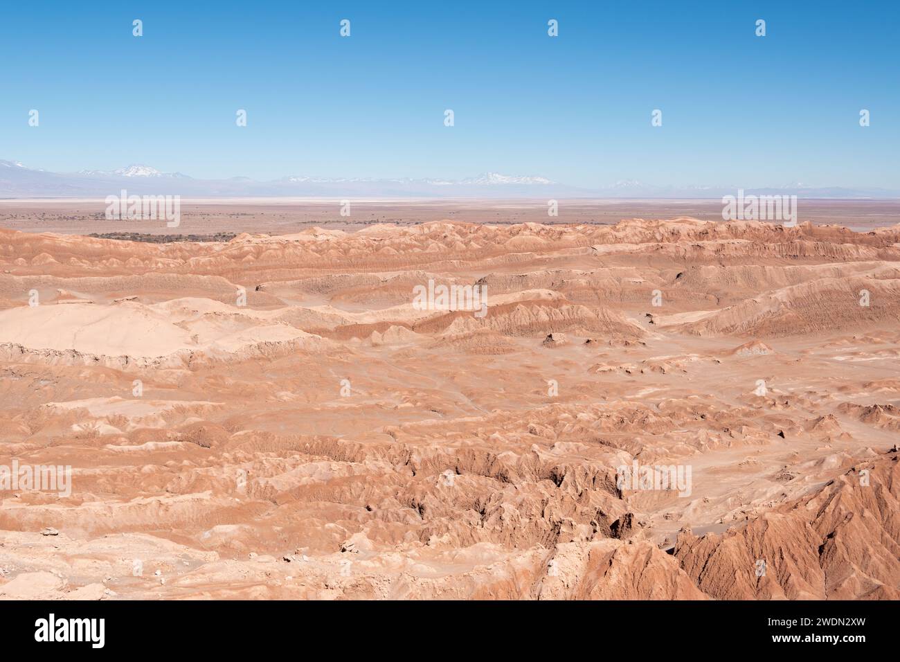 Desierto de Atacama, Chile Stockfoto