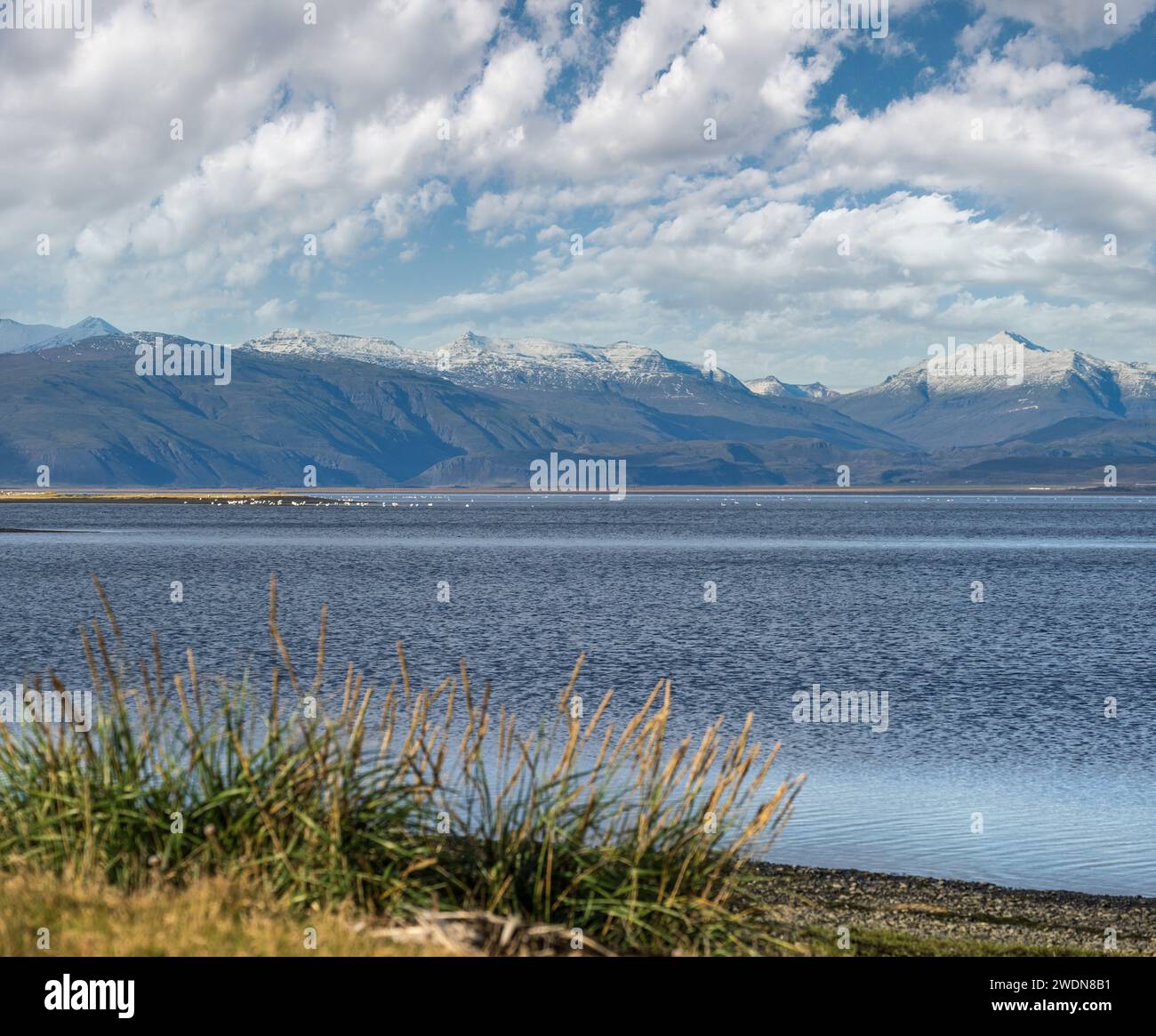 Anzeige während der Autotour in Island. Spektakuläre isländische Landschaft mit landschaftlich reizvoller Natur: Berge, Ozeanküste, Fjorde, Felder, Wolken, Gletscher, Wasser Stockfoto