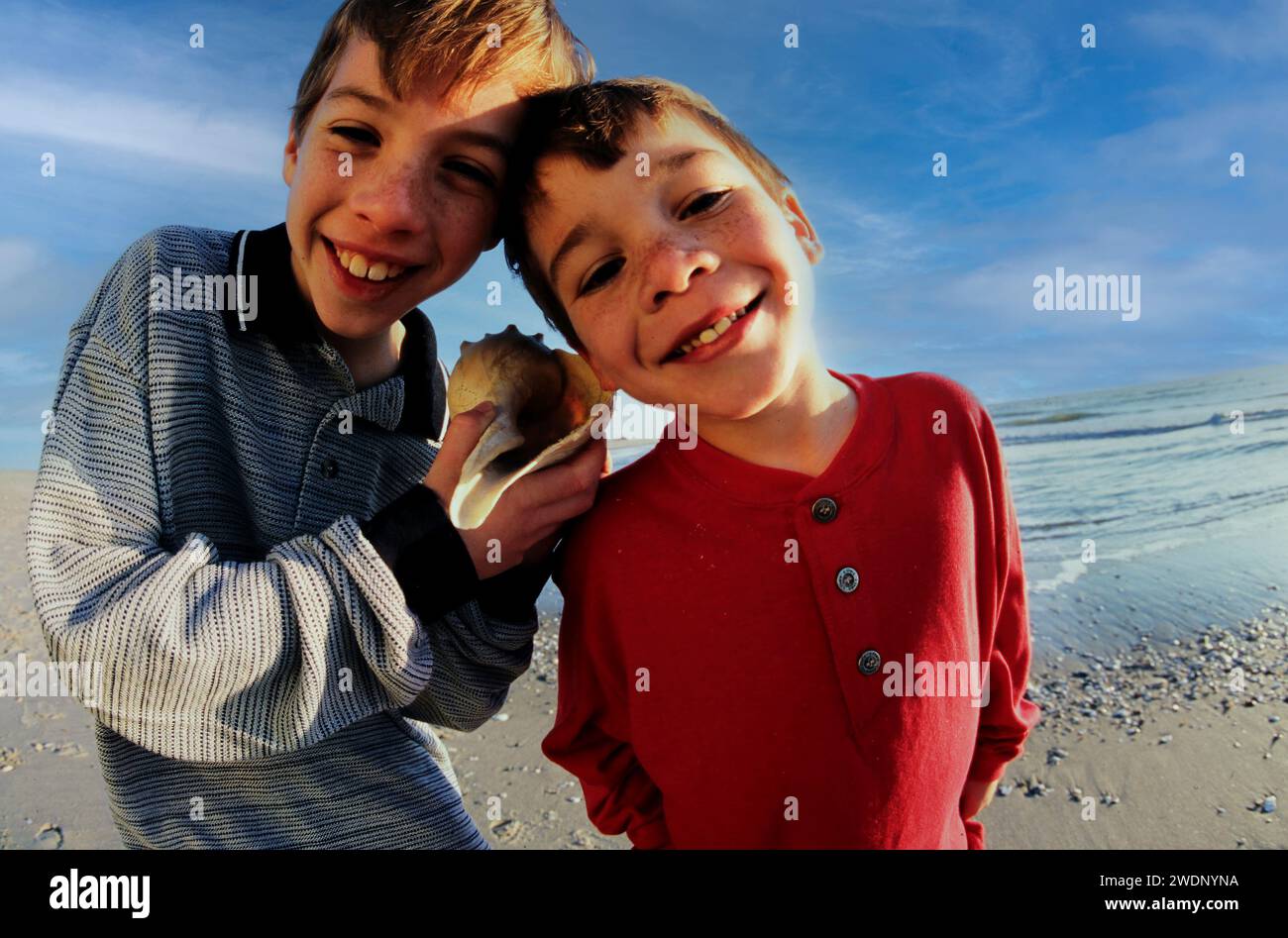 Ein Porträt von zwei Brüdern, die glücklich eine Muschelmuschel hielten, stand während der Sommerferien am Strand Stockfoto