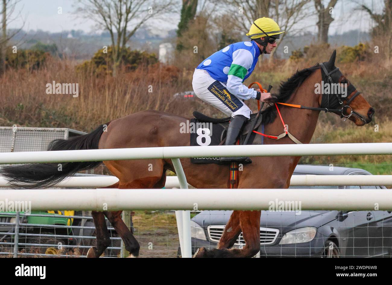 Ebf Farming Roya Irischer jockey mr b oneill -Fotos und -Bildmaterial in hoher Auflösung ...
