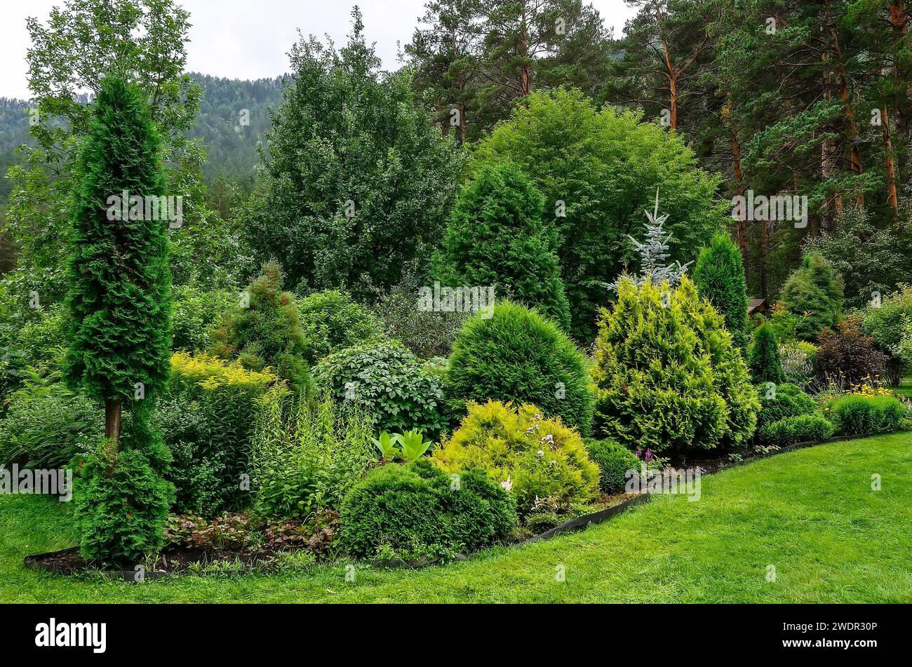 Gemütliche Ecke des Sommergartens in den Bergen, wo verschiedene Laub- und Nadelpflanzen mit verschiedenen Texturen und Farben des Laubs gemischt wurden. Landscapin Stockfoto