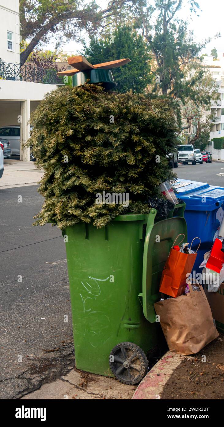 Ein Weihnachtsbaum auf dem Kopf in einem Kompostbehälter. Ende der Weihnachtszeit, Beseitigung von Weihnachtsbäumen. Stockfoto