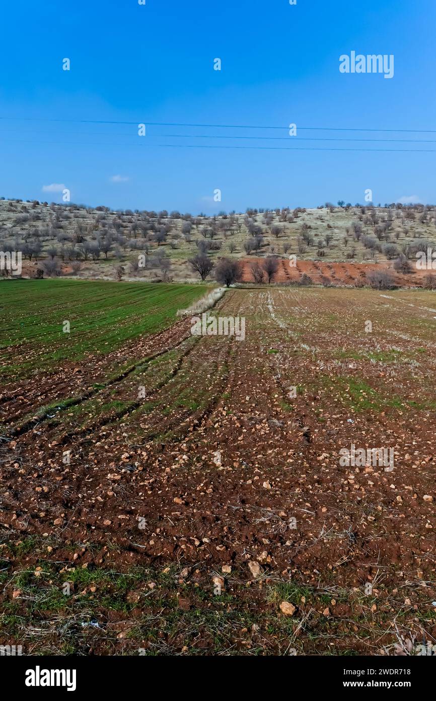 Felder in der Provinz Mardin für Landwirtschaft im Südosten der türkei Stockfoto