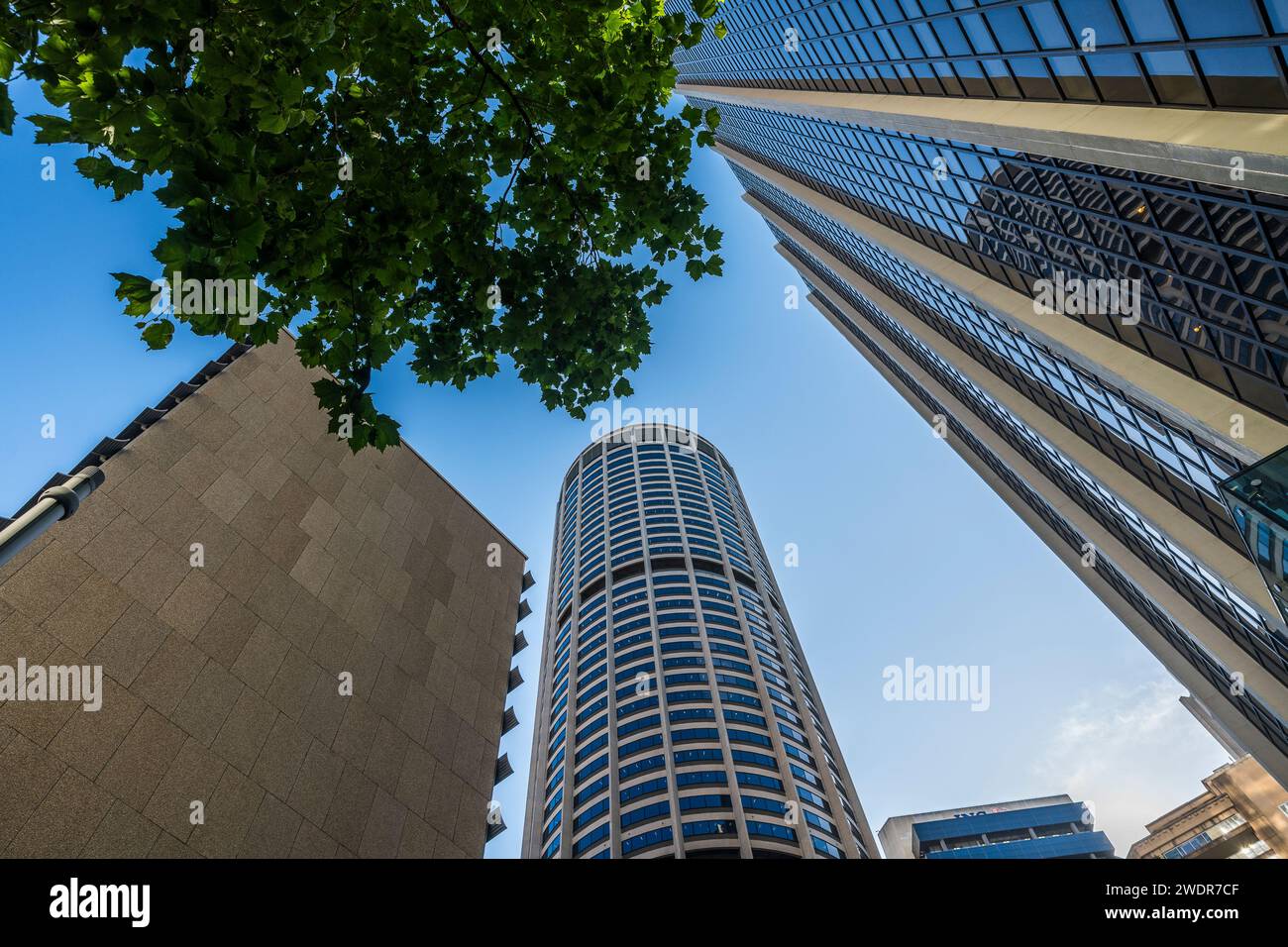 Erkunden Sie das dynamische Herz von Sydney: Das Stadtzentrum Stockfoto