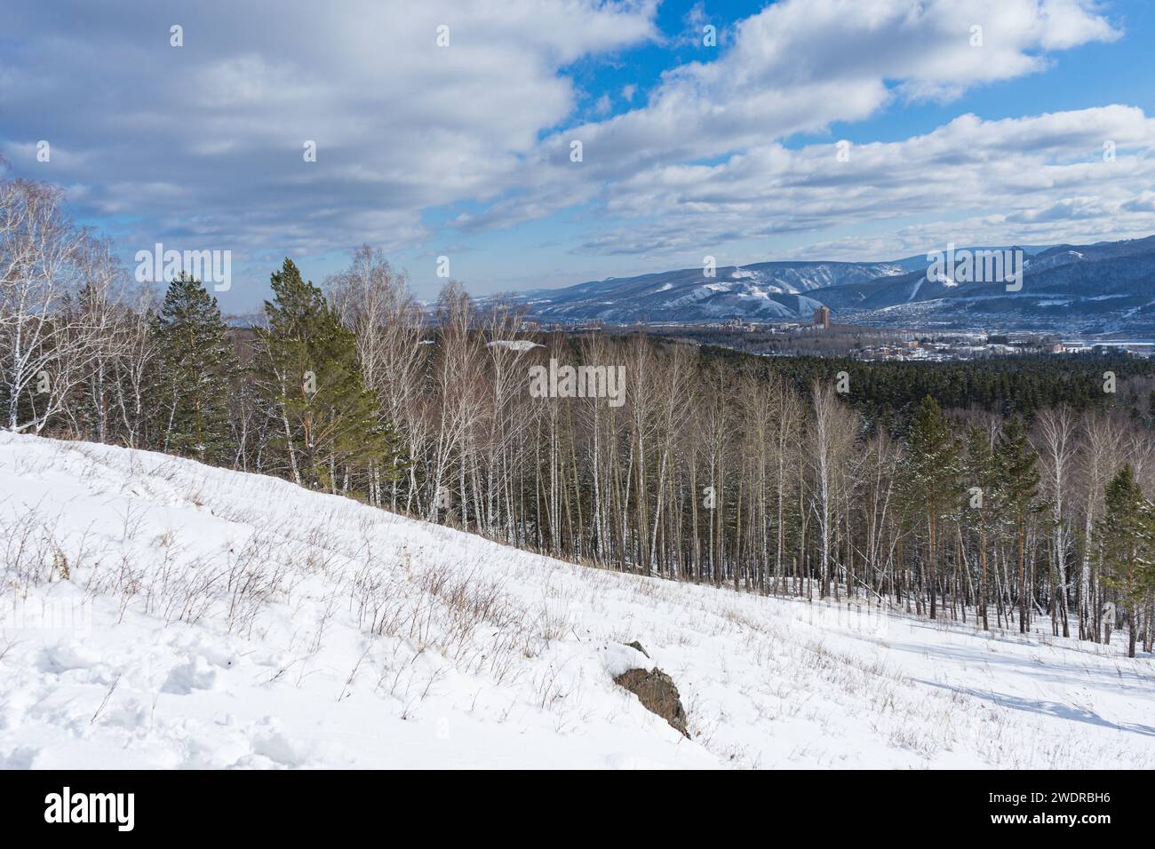 Wandern in der Nähe der Stadt. Stadtviertel und Natur. Winterlandschaft. Blauer Himmel mit niedrigen weißen Wolken. Gremyachaya Griva Park, Krasnojarsk, Russ Stockfoto