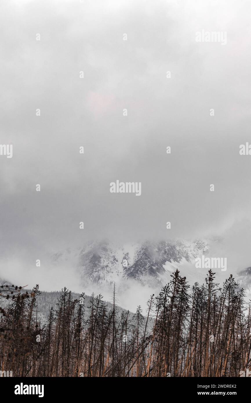 Eine vertikale Ebene des Estes Park mit schneebedeckten Bergen an einem bewölkten Tag Stockfoto
