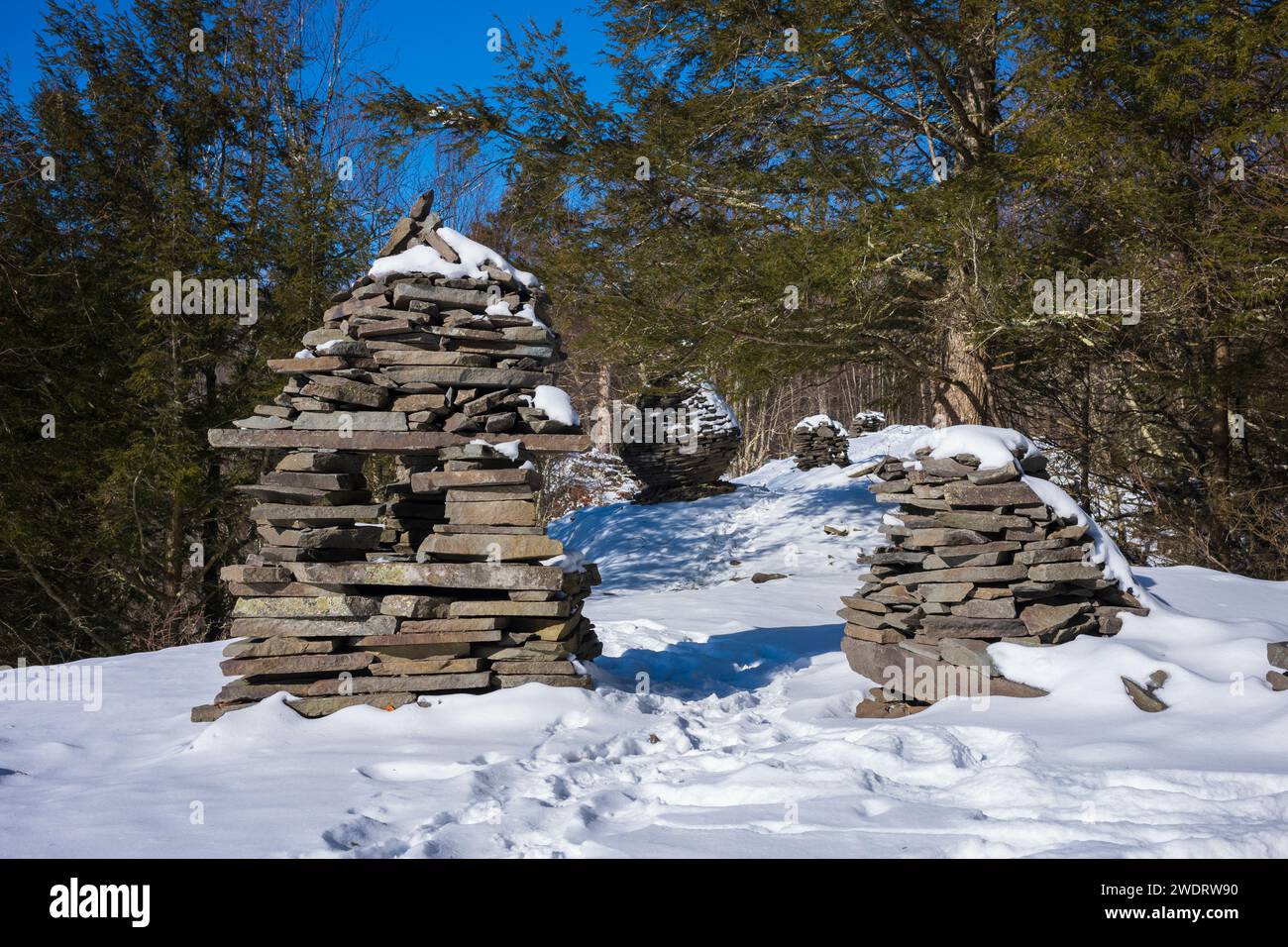 Der Bouchoux Trail in der Nähe von Long Eddy NY ist ein 5,5 km langer Wanderweg am Delaware River, der im Winter unter ein paar Zentimetern Schnee fotografiert wurde Stockfoto